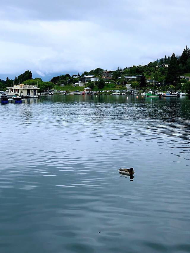 Learn to Fly NZ 瓦纳卡飞机训练营
