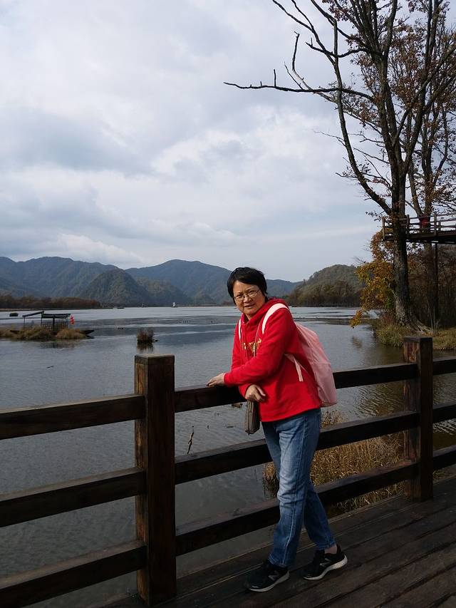 九品(俊辉)猪肚鸡