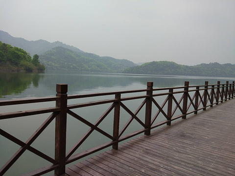 通济湖风景区的图片