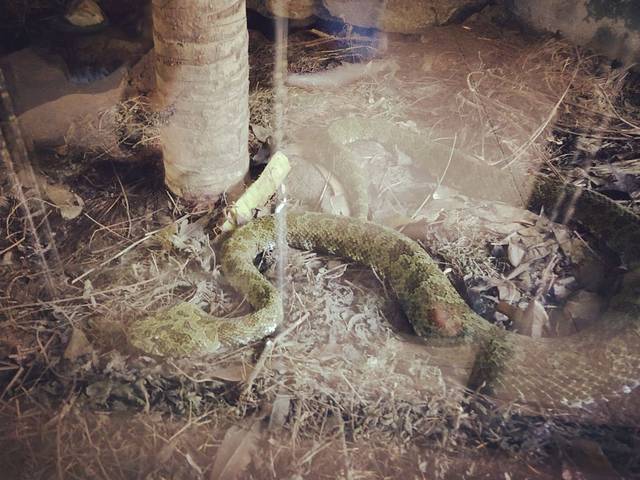 莽山自然博物馆