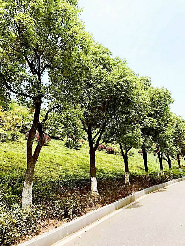 江北石子山体育公园