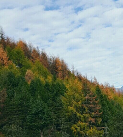 米仓山旅游景区-大坝森林公园