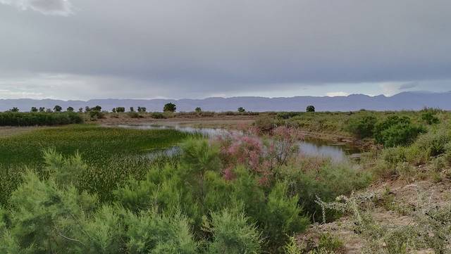 巴楚县红海景区-红海湾水上乐园