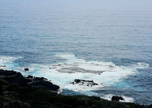 The Coastal Walk旅游景点图片