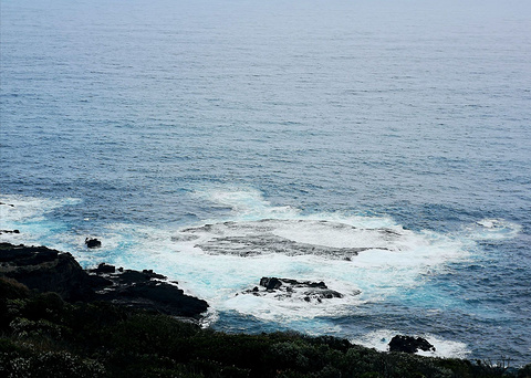 The Coastal Walk