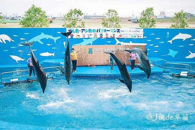 仙台海洋森林水族馆