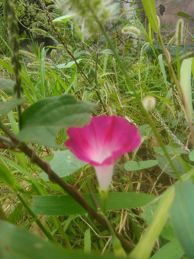 瑞安市烈士陵园