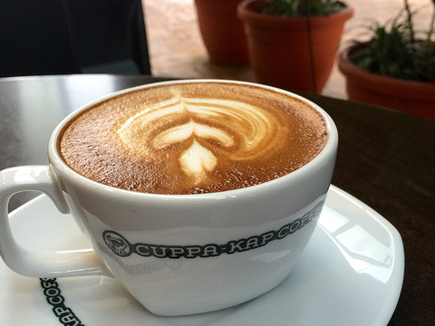 Cuppa-Kap Coffee旅游景点图片