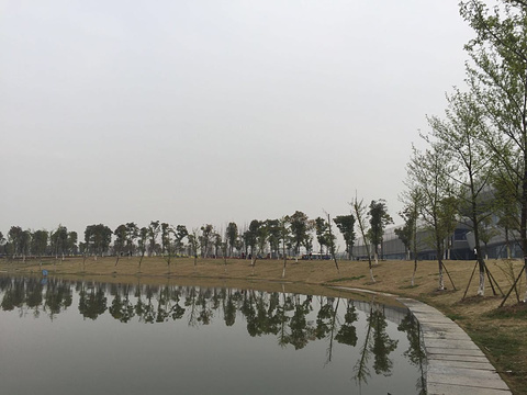 莲湖公园旅游景点图片