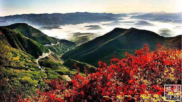 彭阳县明忠综合门市部旅游景点图片