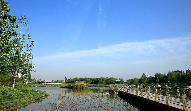 灞桥生态湿地公园旅游景点图片