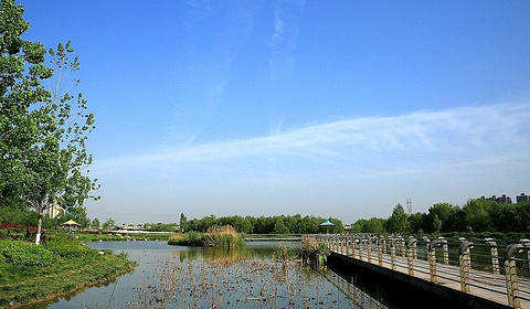 西安灞桥生态湿地公园图片