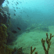 Lihadonisia Diving Center