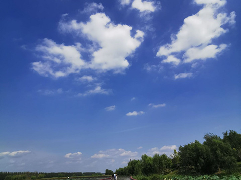 沈北七星国家湿地公园旅游景点图片