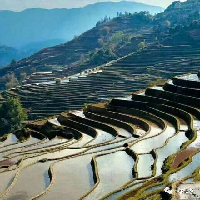 百鹭洲湿地公园