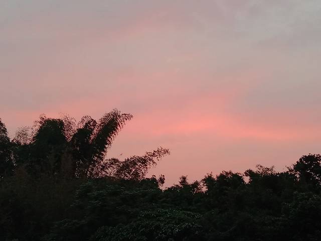 陆记信宜鸡粥(东方市场店)