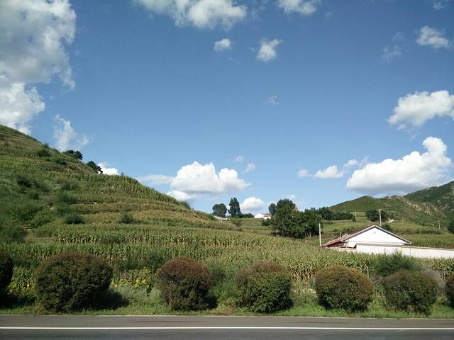 红石峡沙地植物园