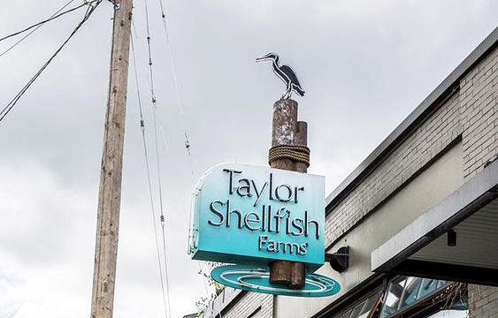 Taylor Shellfish Oyster Bar旅游景点图片