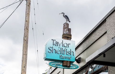 Taylor Shellfish Oyster Bar的图片
