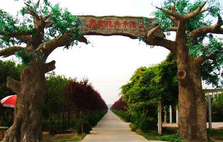 苏北花卉示范园