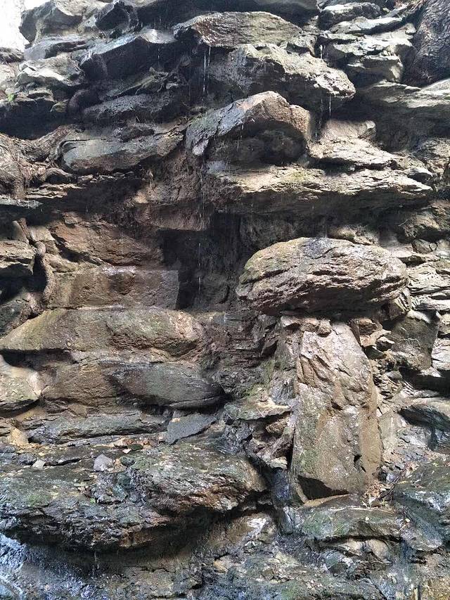 呷哺呷哺(丰体物美店)