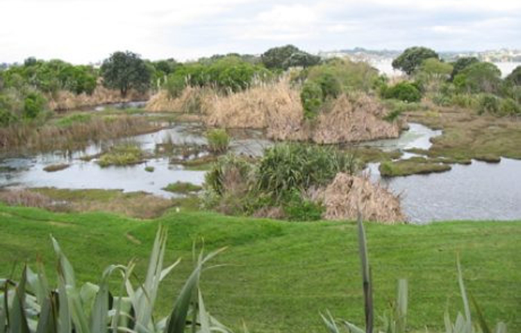 Tohuna Torea Nature Reserve