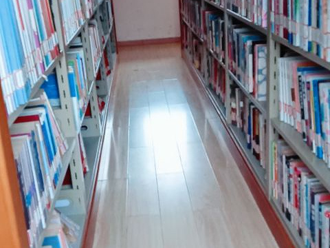 涡阳县图书馆旅游景点图片