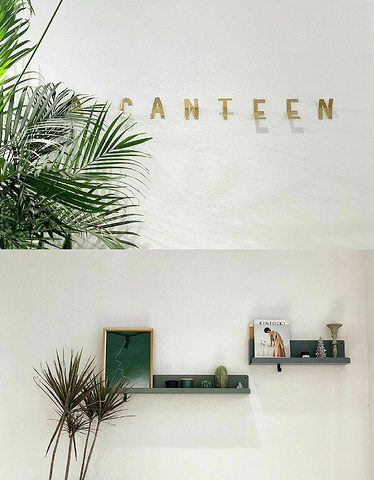 带有森林气息的ins风，清新自然