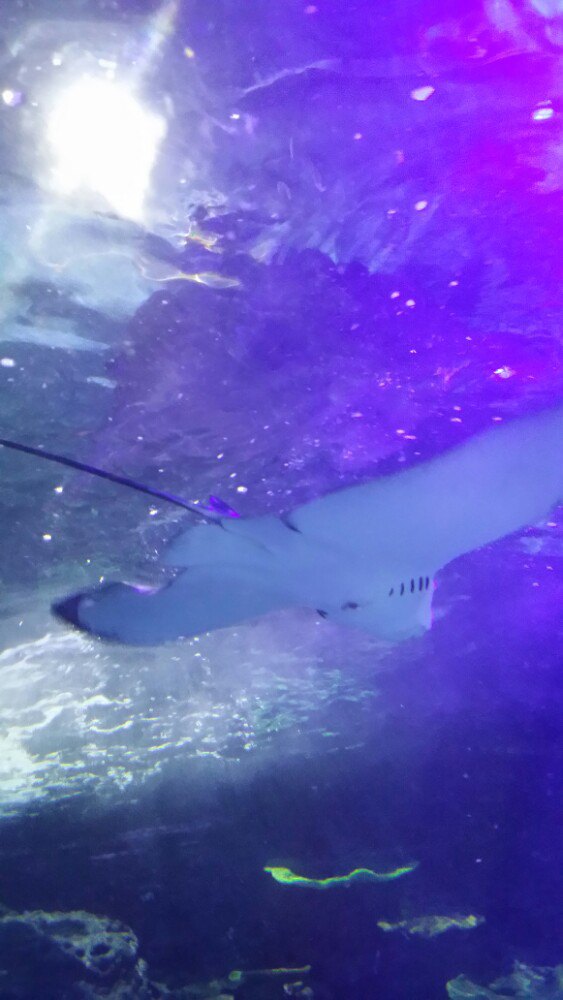 太行明珠游乐城