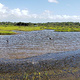 Kealia Pond National Wildlife Refuge