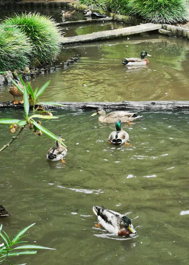 Otorohanga Kiwi House