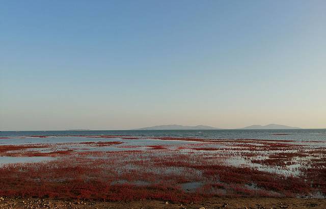 兴城红海栈道景区
