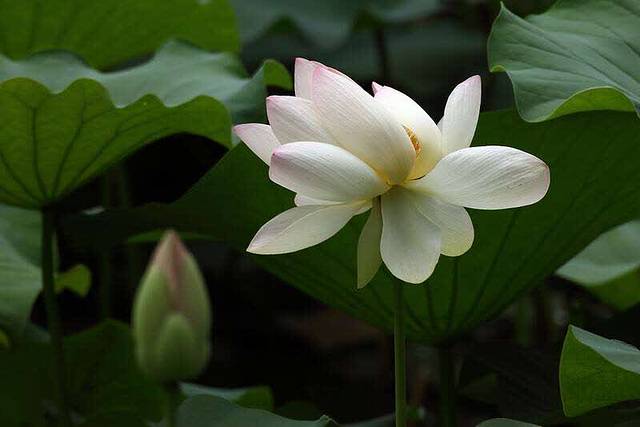 张亮麻辣烫(环球港店)