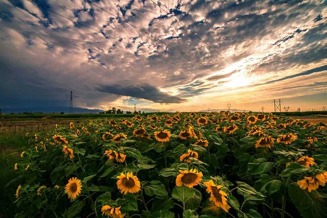 屿蓝湾(中海国际店)