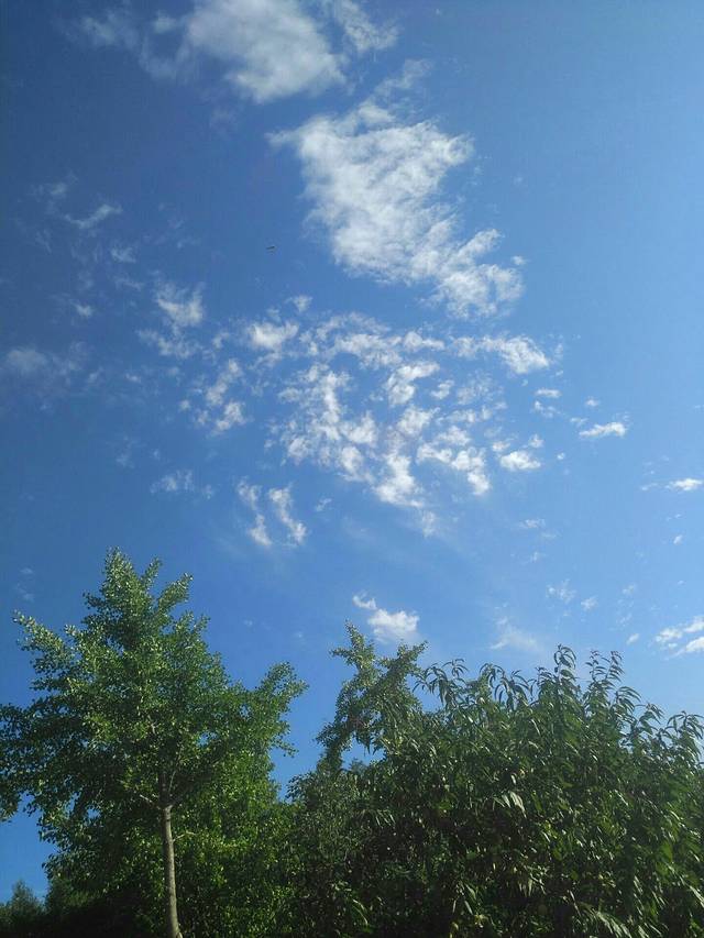 小关奥林匹克文化广场