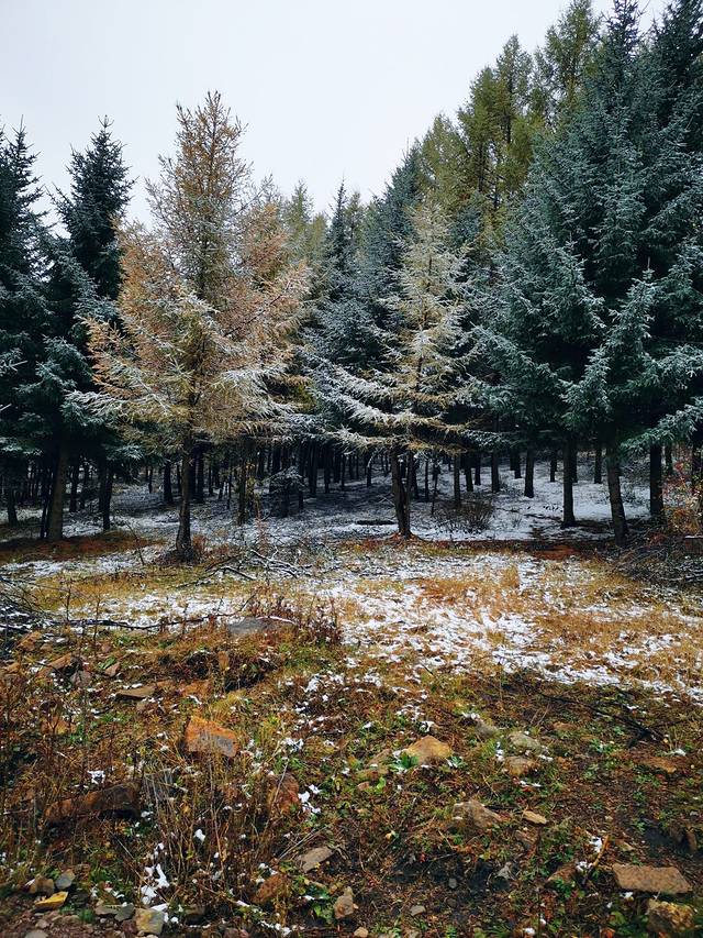 七星湖湿地公园-凉亭