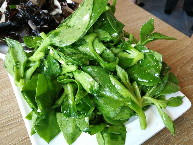 直隶安家牛肉罩饼(新石店)