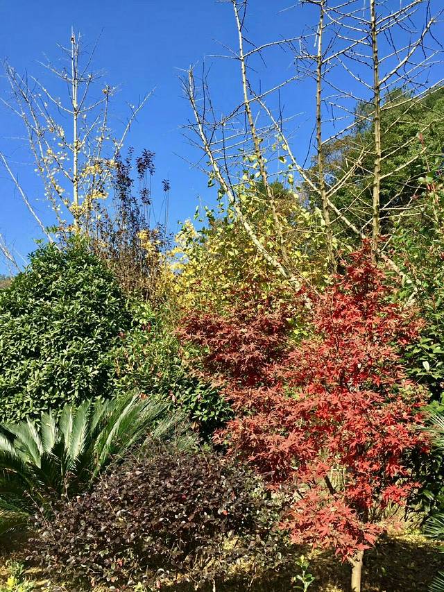 农耕年华生态风情园