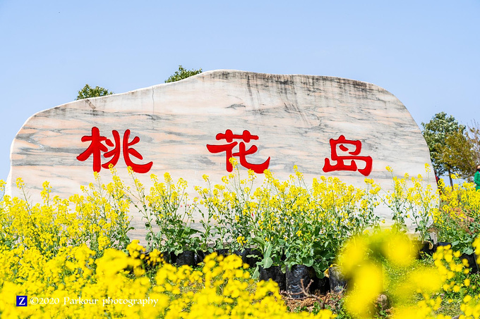 春天,才是最美的汉中—汉中油菜花海自驾之旅-汉中旅游攻略-游记-去哪儿攻略