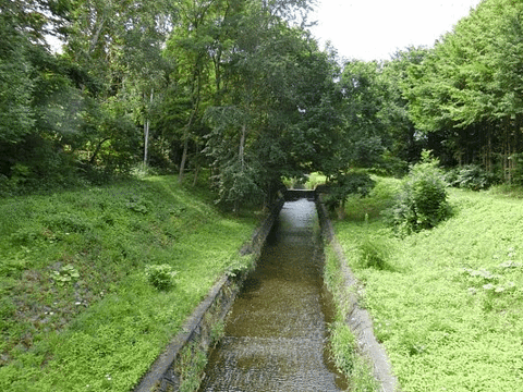 Hakkogakuen Hanashobupark旅游景点图片