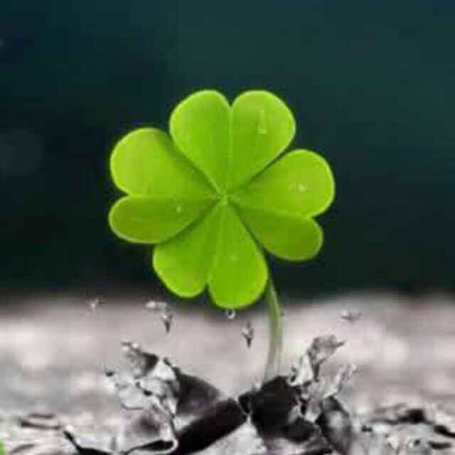 金石炭火烤肉店(铁西店)