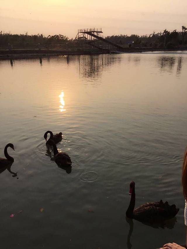 龙泉乡园休闲度假村