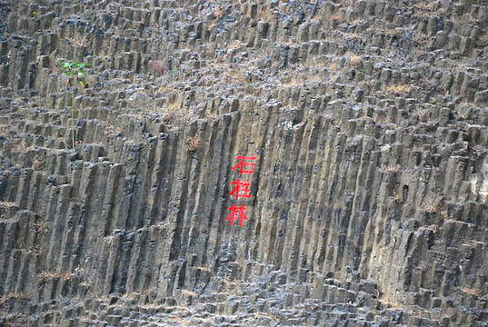 桂子山石柱林旅游景点图片