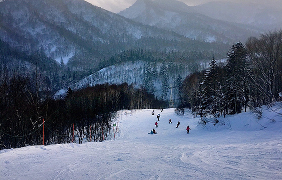 札幌国际滑雪场旅游景点图片