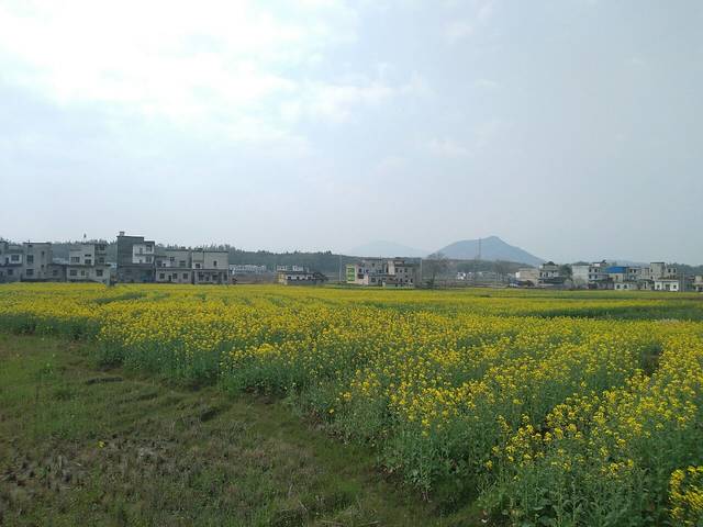 通城黄袍山兰若寺