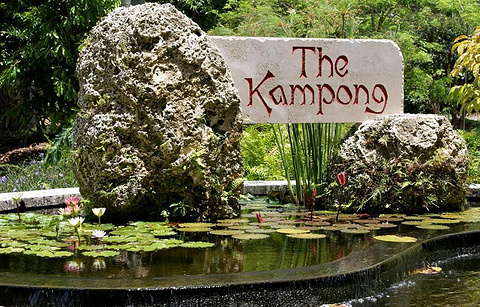 The Kampong, National Tropical Botanical Garden