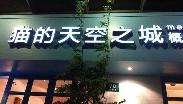猫的天空之城概念书店(大学路店)
