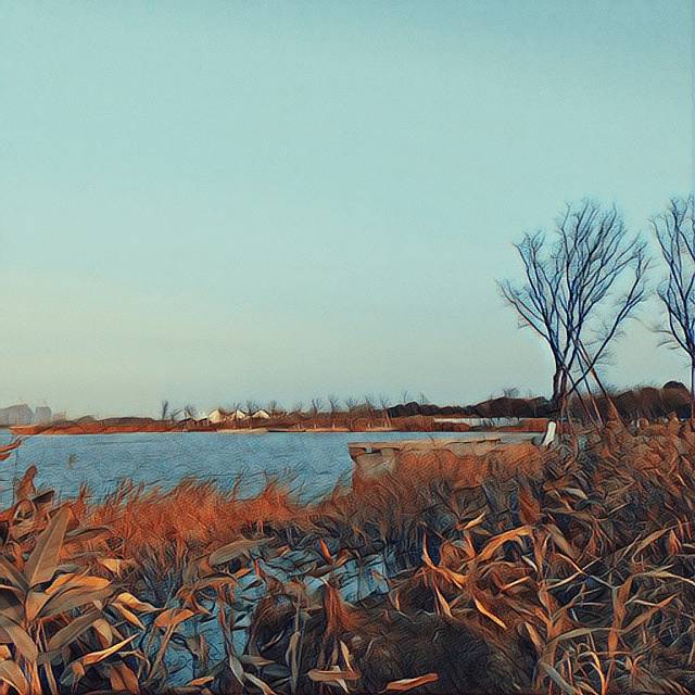杭州湾新区观塘湖公园