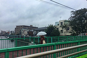 滨松市旅游景点攻略图片