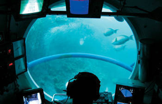 马尔代夫鲸鱼潜艇旅游景点图片